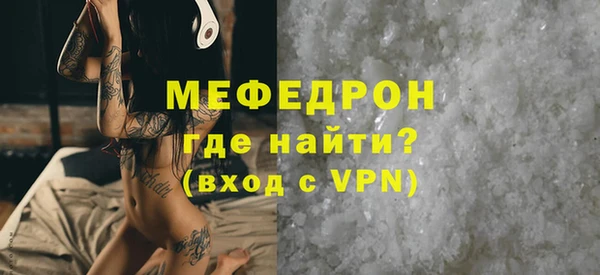 индика Краснослободск
