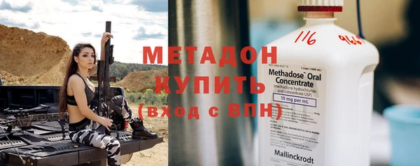 индика Краснослободск
