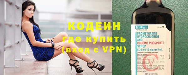 индика Краснослободск