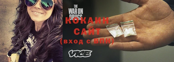 индика Краснослободск