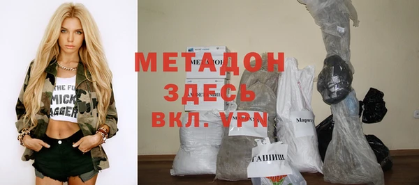 индика Краснослободск