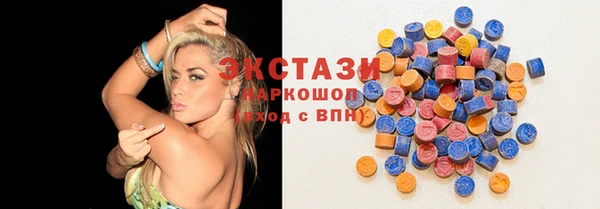 индика Краснослободск
