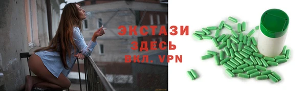 индика Краснослободск