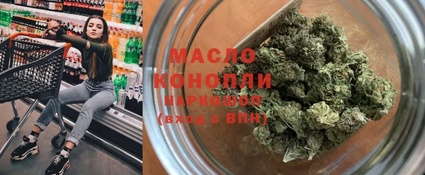 индика Краснослободск