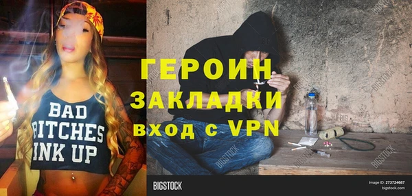 индика Краснослободск