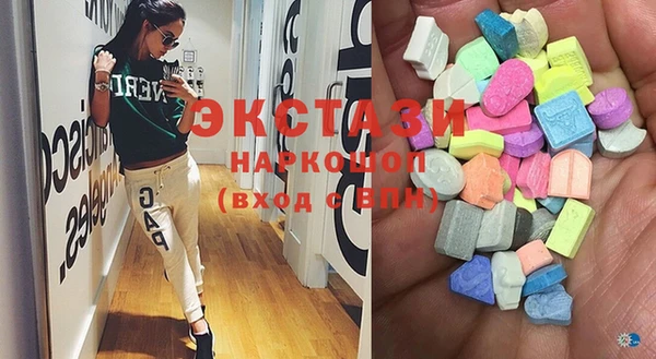 индика Краснослободск