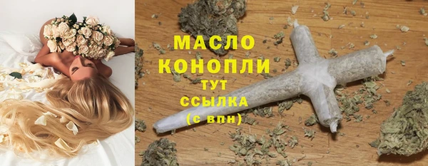 индика Краснослободск