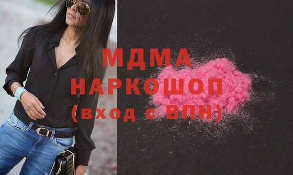 индика Краснослободск