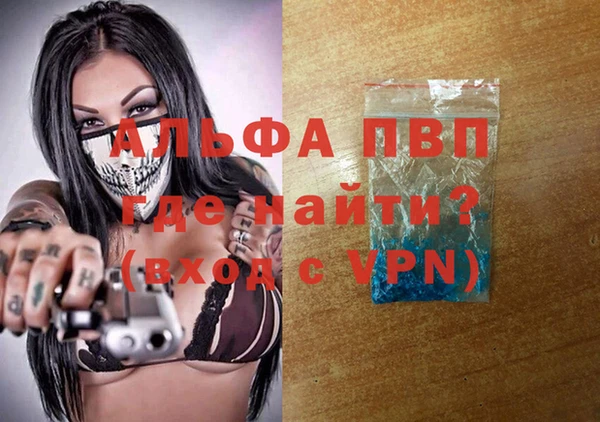индика Краснослободск