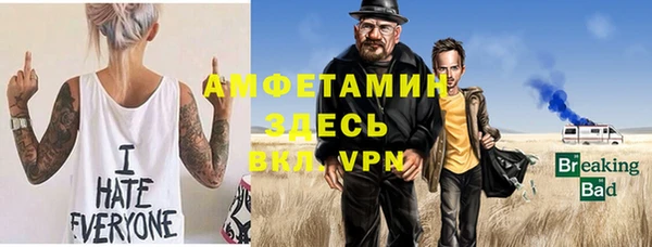 индика Краснослободск