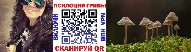 Галлюциногенные грибы Magic Shrooms  сколько стоит  Тамбов 