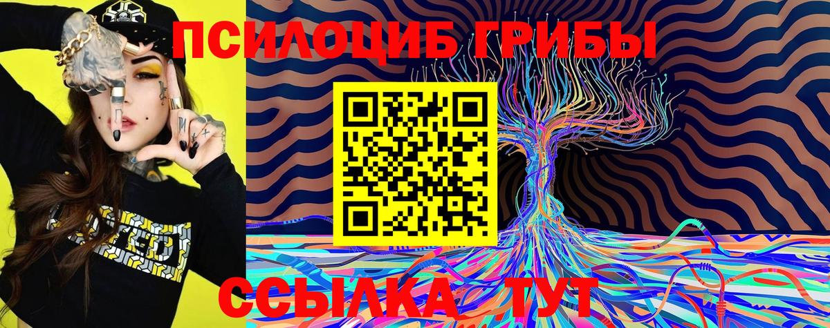 Галлюциногенные грибы Psilocybe  Вход с VPN  купить наркоту  Тамбов 