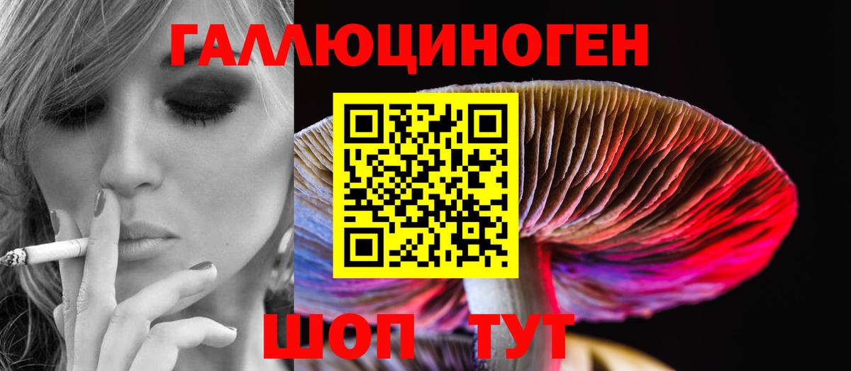Псилоцибиновые грибы мухоморы Тамбов
